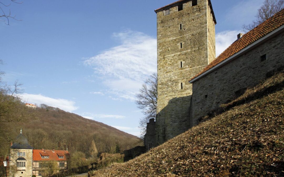 Généalogie de la Maison Princière de Schaumburg-Lippe